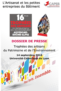 DP Institutionnel