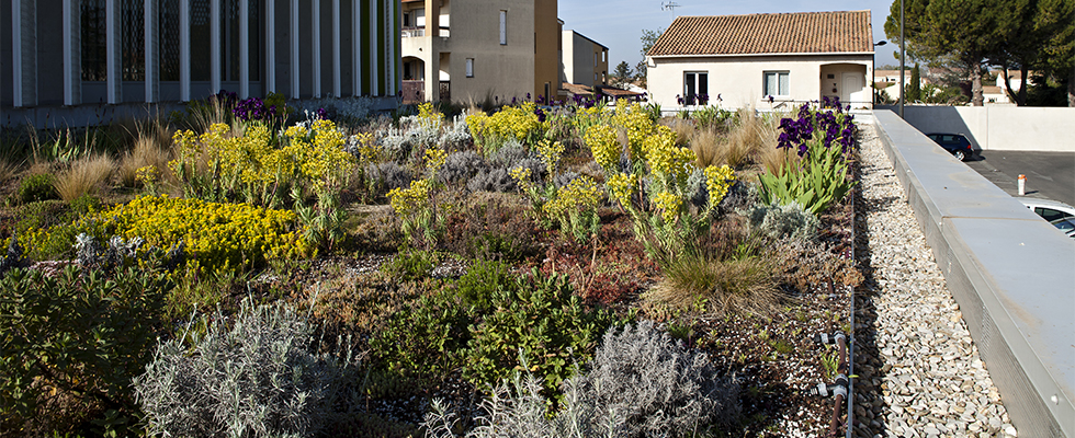 diapo_vegetalisaiton_toiture-soprema2