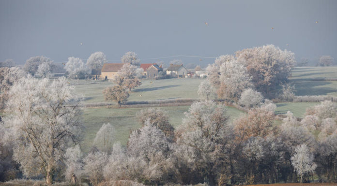 Froid : restez vigilant