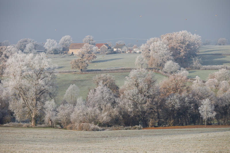 Region Auvergne, paysage rural recouvert de givre du departement de l'Allier en hiver. Saion hivernale, froid