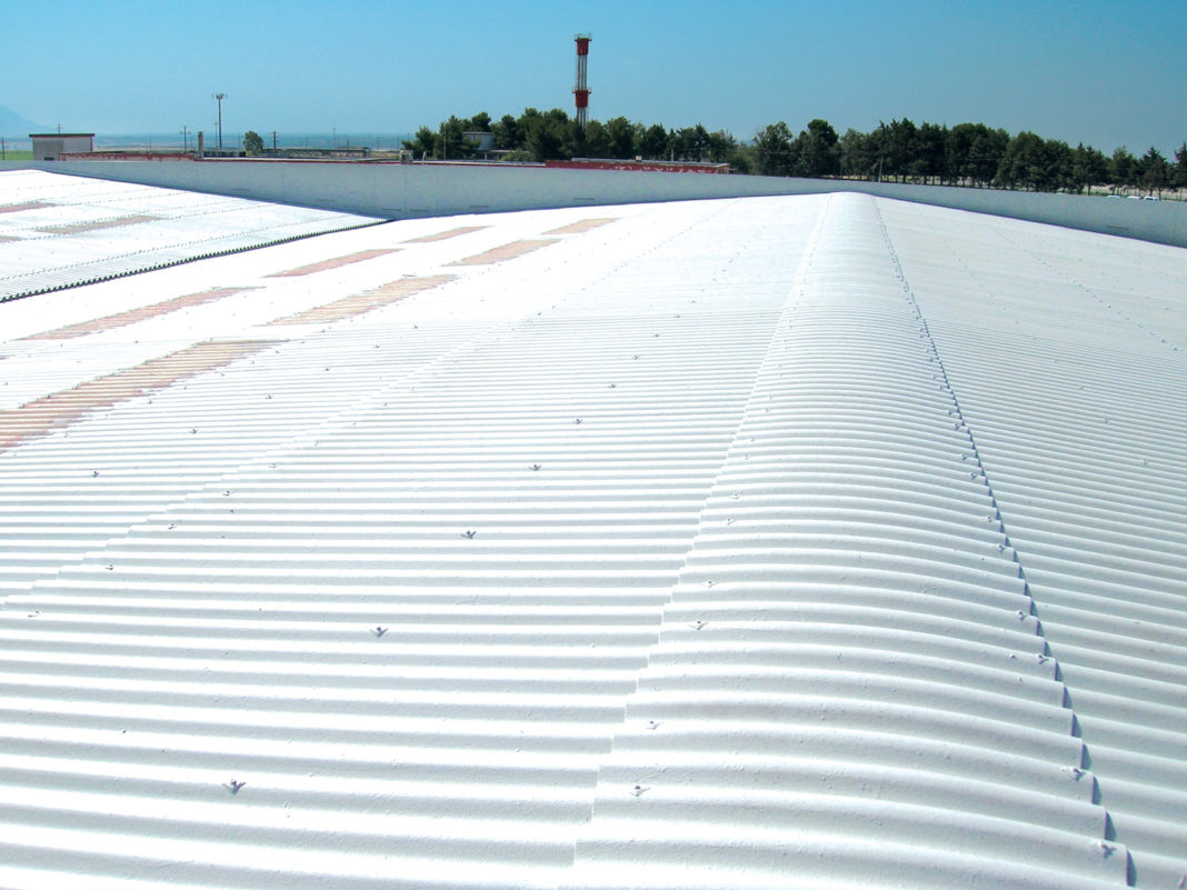 MEMBRANE photo25