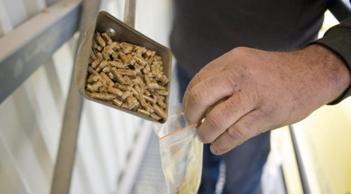 Des perspectives positives pour le granulé de bois