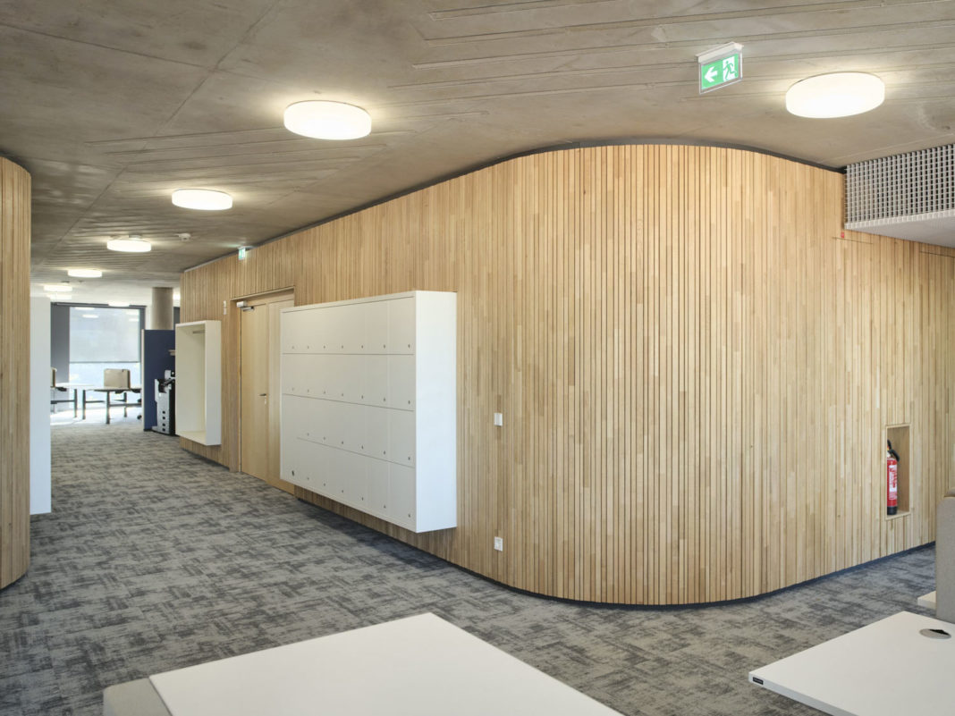2023-11_LIGNO® Akustik curved_Landratsamt Lörrach