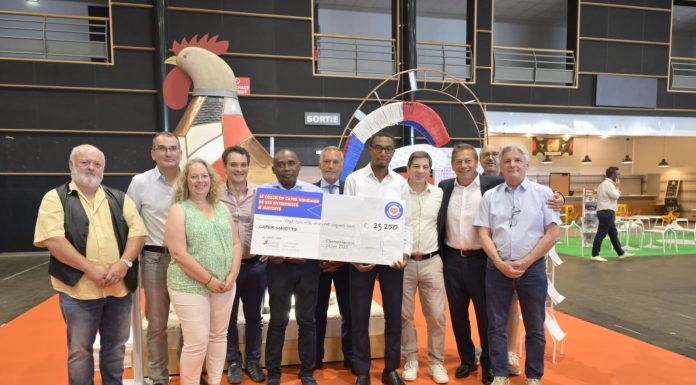 Solidarité en actes : la Capeb remet un chèque au président de Mayotte